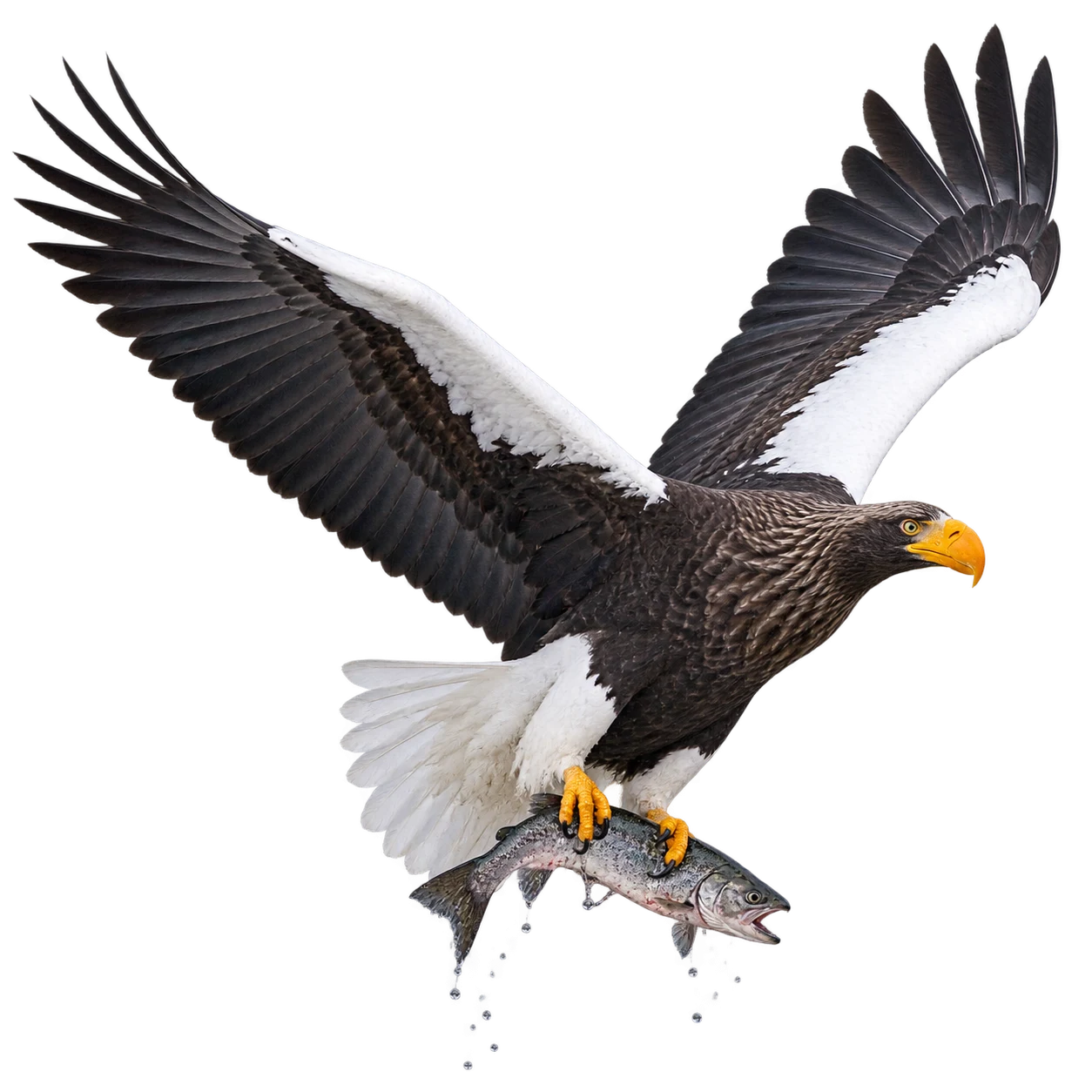 Riesenseeadler: Fischfang · Ansitzjagd · Suchflug · Aassuche