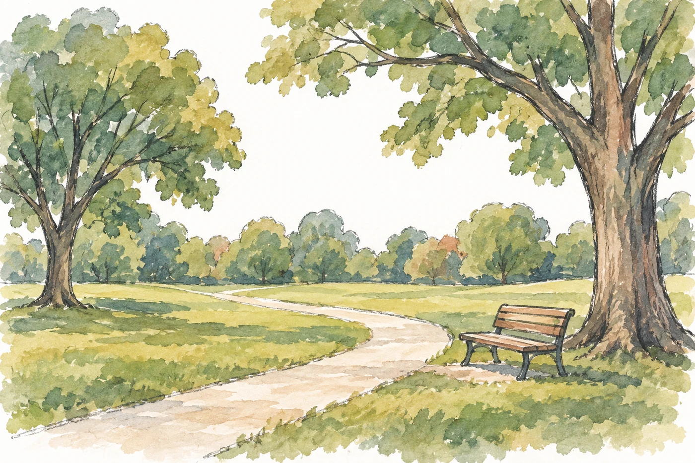 Große alte Bäume und dichtes Grün in einem städtischen Park